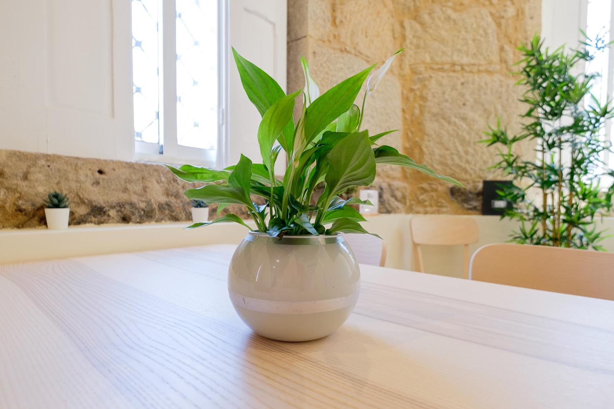 הוילה Portocasa מראה חיצוני תמונה